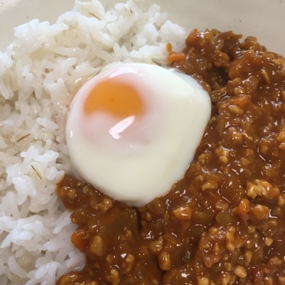 キーマカレーに乗せていただきました。思い立ったらすぐ出来るので助かります。とろとろで美味しかったです♪